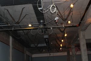 Speed Museum