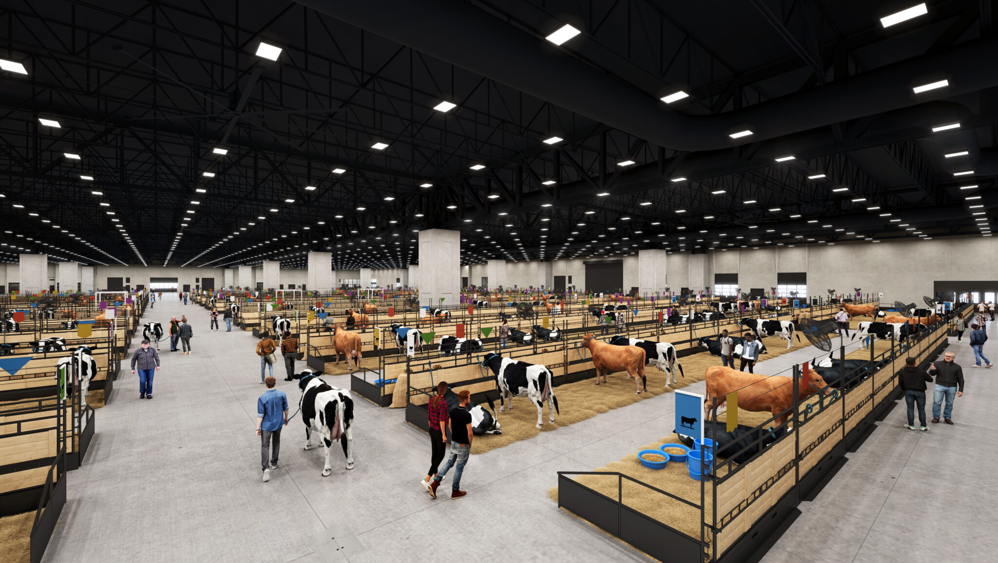 CATTLE | Calhoun Construction
