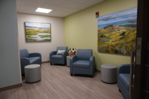 Waiting room with blue upholstered chairs, round gray tables, pale walls, and two large landscape paintings on the walls, creating a calm waiting area with a panda plush in a basket nearby.
