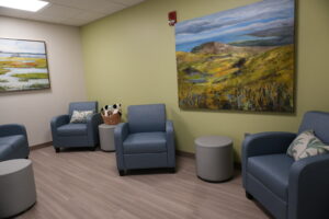 Blue upholstered chairs arranged in a small waiting area with round gray tables, a wicker basket of stuffed animals, and large landscape paintings on pale green walls.