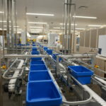 Industrial warehouse with an automated conveyor system and blue plastic bins for sorting goods.